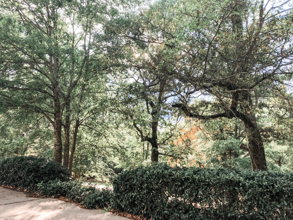 Letter to a&nbsp;Stranger